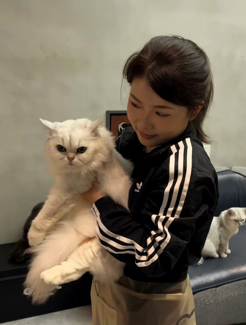 撸猫生活照片 1